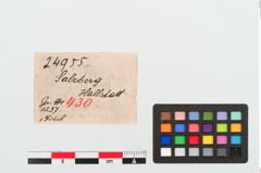 Etiketten zu Bronzetierkopffibel (NHMW-PRAE-024955)